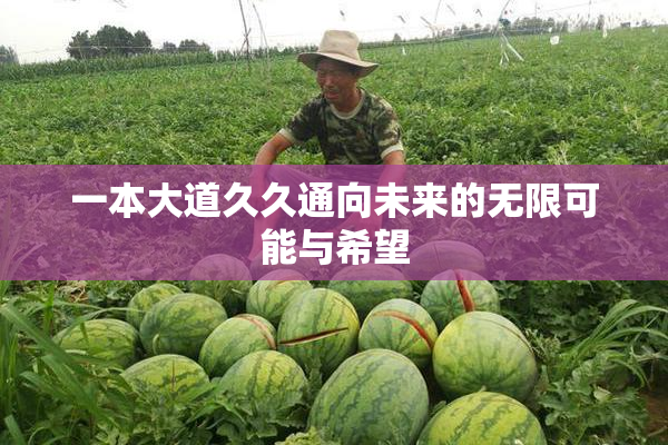 一本大道久久通向未来的无限可能与希望