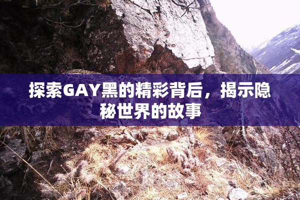 探索GAY黑的精彩背后，揭示隐秘世界的故事