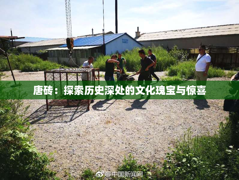唐砖：探索历史深处的文化瑰宝与惊喜