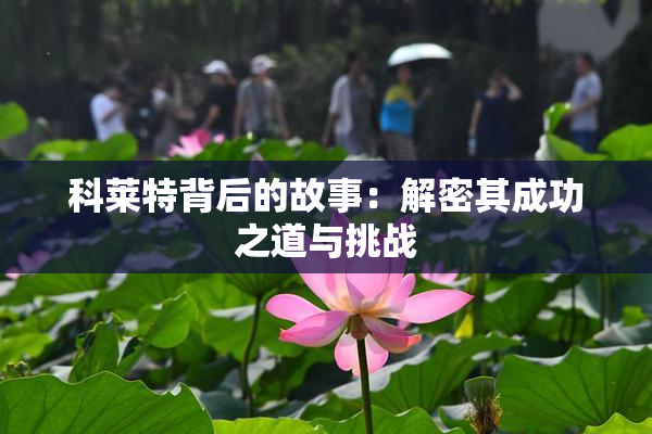 科莱特背后的故事：解密其成功之道与挑战