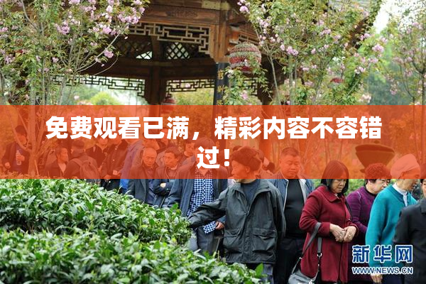 免费观看已满，精彩内容不容错过！