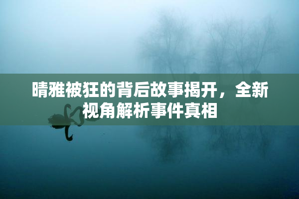 晴雅被狂的背后故事揭开，全新视角解析事件真相