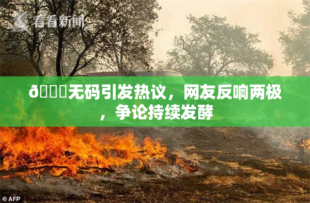 🔞无码引发热议，网友反响两极，争论持续发酵