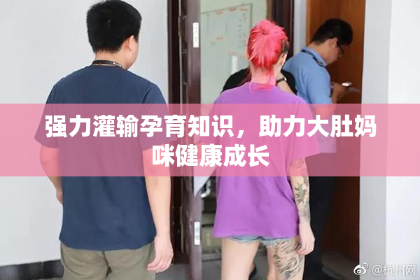 强力灌输孕育知识，助力大肚妈咪健康成长