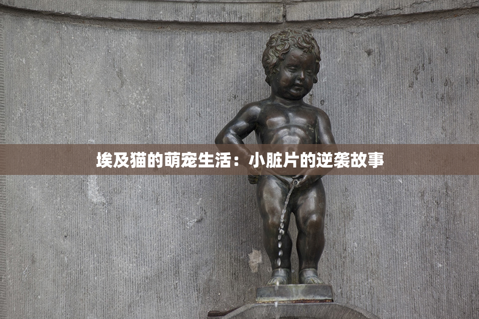 埃及猫的萌宠生活：小脏片的逆袭故事