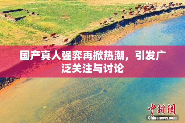 国产真人强弈再掀热潮，引发广泛关注与讨论