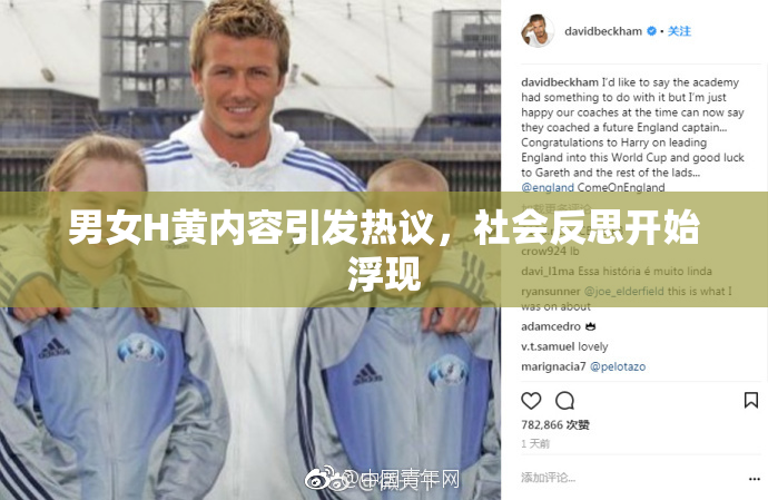 男女H黄内容引发热议，社会反思开始浮现
