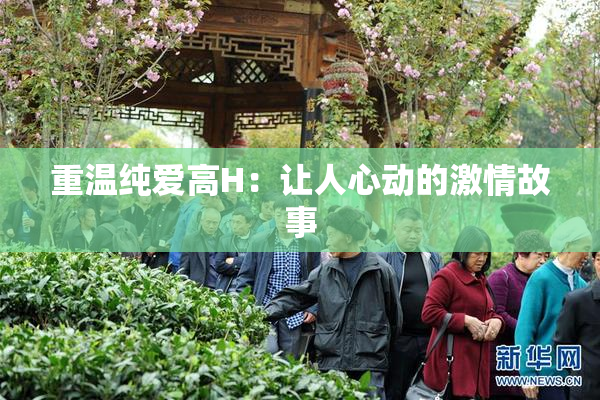 重温纯爱高H：让人心动的激情故事