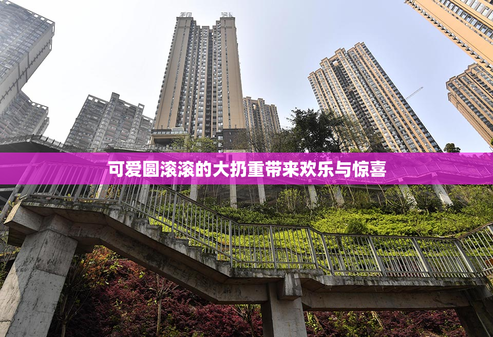 可爱圆滚滚的大扔重带来欢乐与惊喜