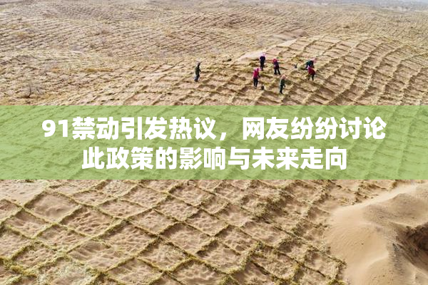 91禁动引发热议，网友纷纷讨论此政策的影响与未来走向
