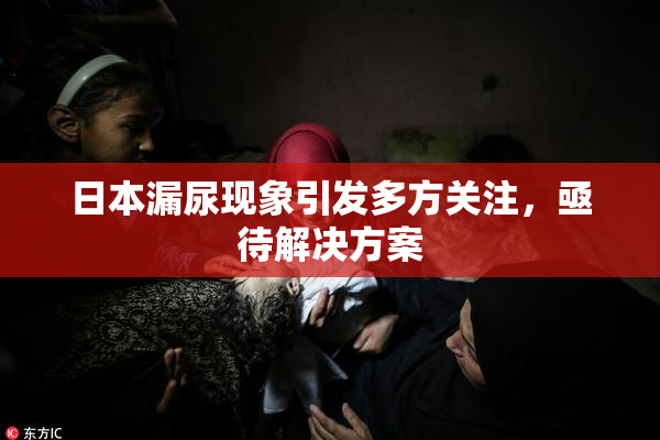 日本漏尿现象引发多方关注，亟待解决方案