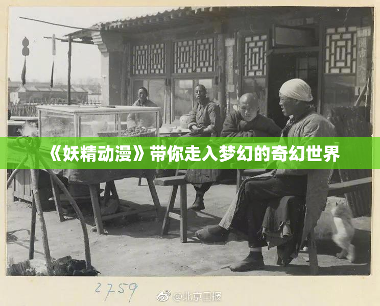 《妖精动漫》带你走入梦幻的奇幻世界