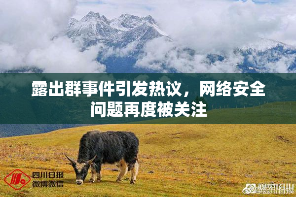 露出群事件引发热议，网络安全问题再度被关注