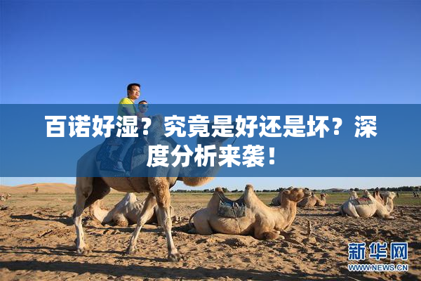 百诺好湿？究竟是好还是坏？深度分析来袭！
