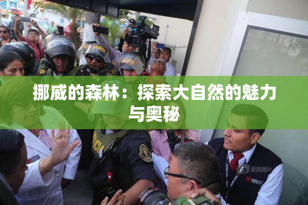 挪威的森林：探索大自然的魅力与奥秘