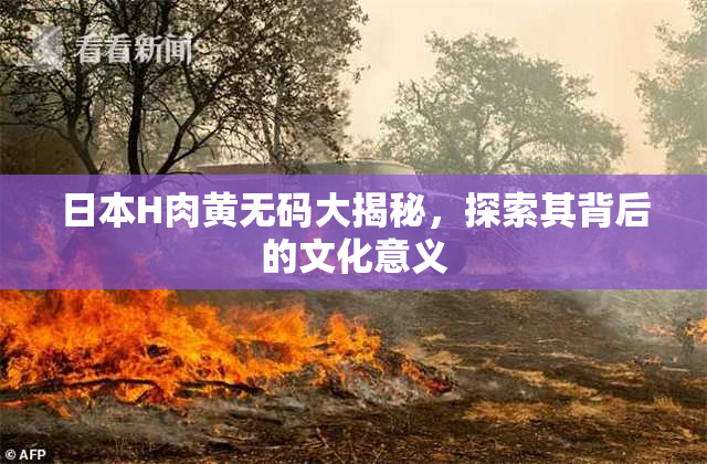 日本H肉黄无码大揭秘，探索其背后的文化意义