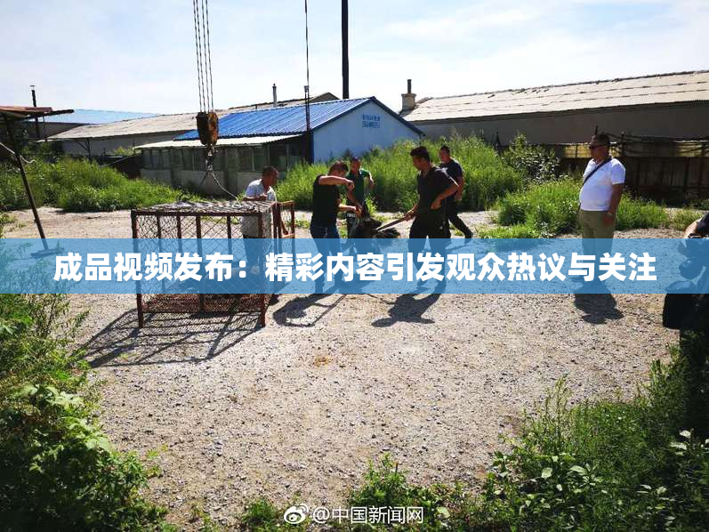 成品视频发布：精彩内容引发观众热议与关注