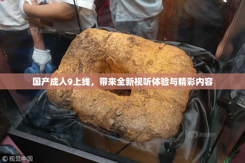 国产成人9上线，带来全新视听体验与精彩内容