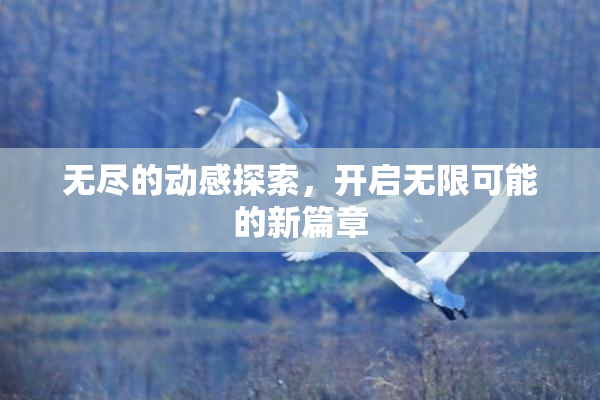 无尽的动感探索，开启无限可能的新篇章