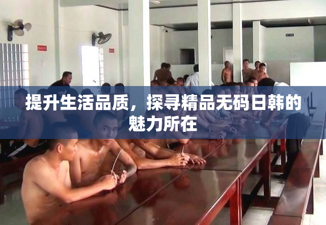 提升生活品质，探寻精品无码日韩的魅力所在