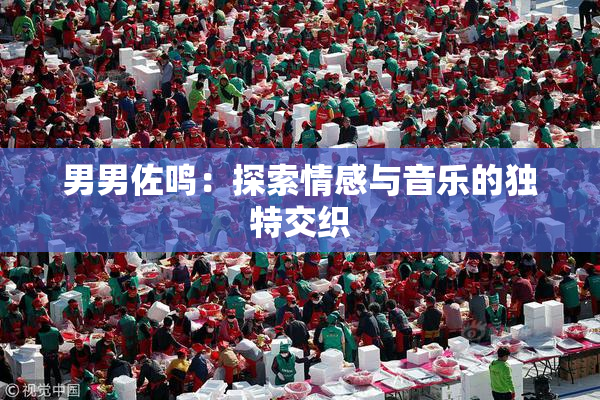 男男佐鸣：探索情感与音乐的独特交织