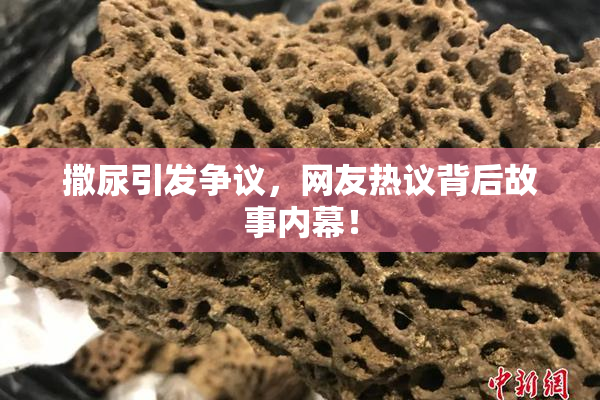 撒尿引发争议，网友热议背后故事内幕！
