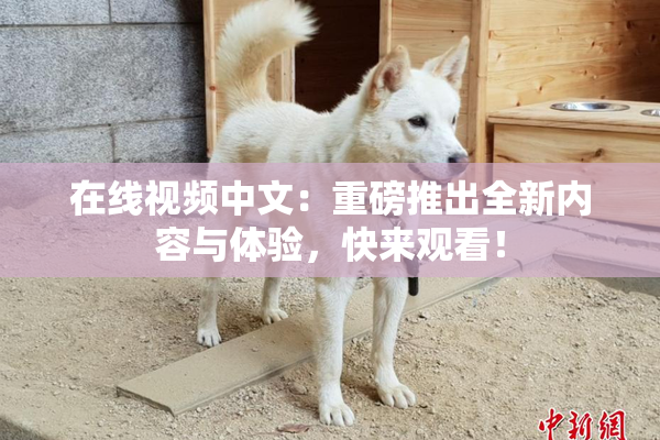 在线视频中文：重磅推出全新内容与体验，快来观看！