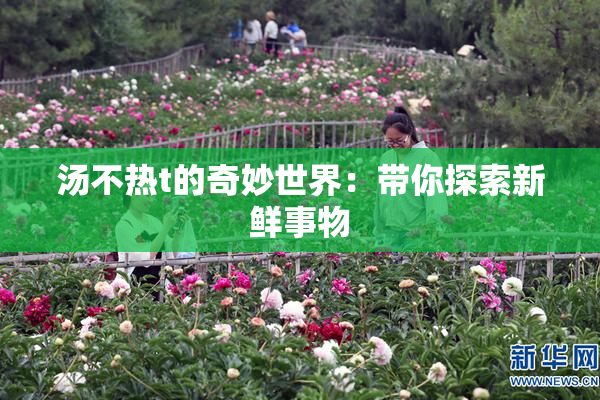 汤不热t的奇妙世界：带你探索新鲜事物