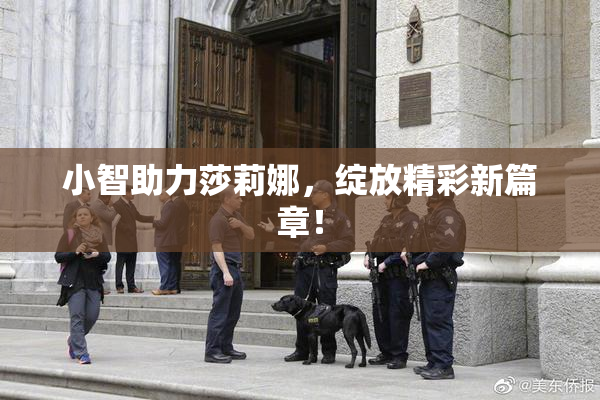 小智助力莎莉娜，绽放精彩新篇章！