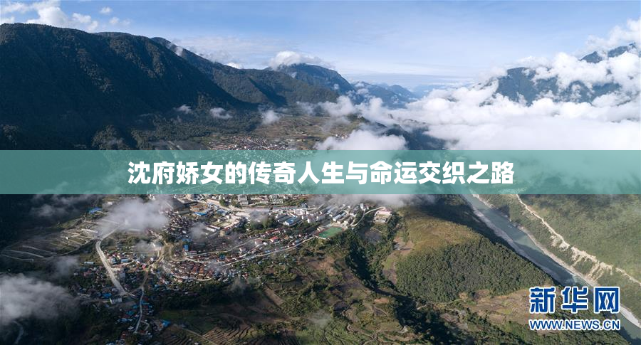 沈府娇女的传奇人生与命运交织之路