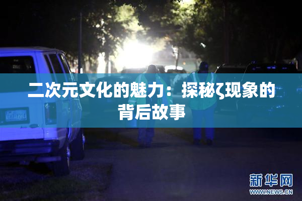 二次元文化的魅力：探秘ζ现象的背后故事