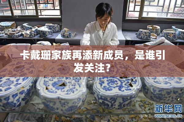 卡戴珊家族再添新成员，是谁引发关注？