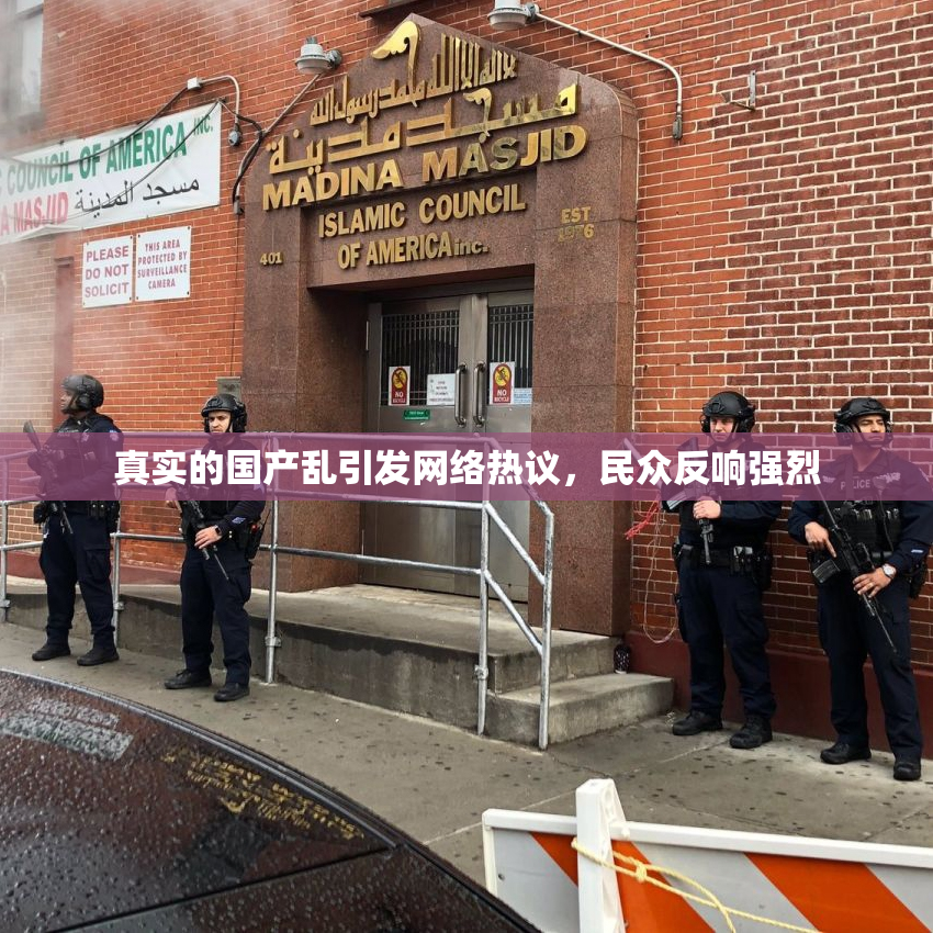 真实的国产乱引发网络热议，民众反响强烈