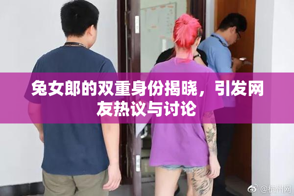 兔女郎的双重身份揭晓，引发网友热议与讨论