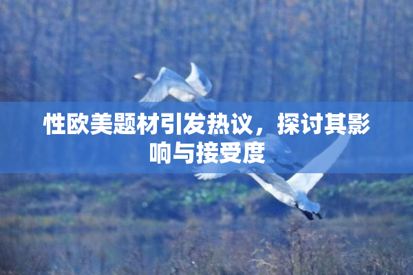 性欧美题材引发热议，探讨其影响与接受度