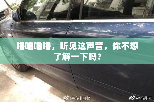 噜噜噜噜，听见这声音，你不想了解一下吗？