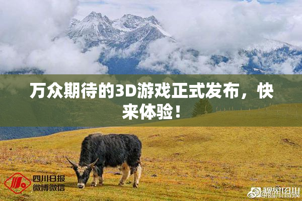 万众期待的3D游戏正式发布，快来体验！