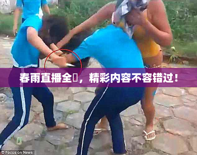 春雨直播全婐，精彩内容不容错过！