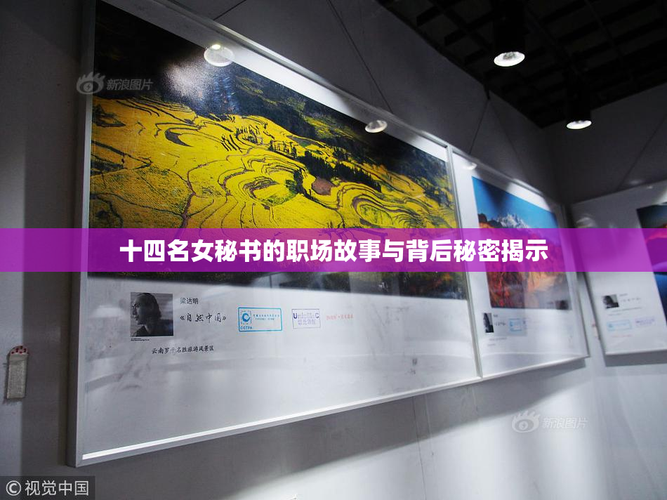 十四名女秘书的职场故事与背后秘密揭示