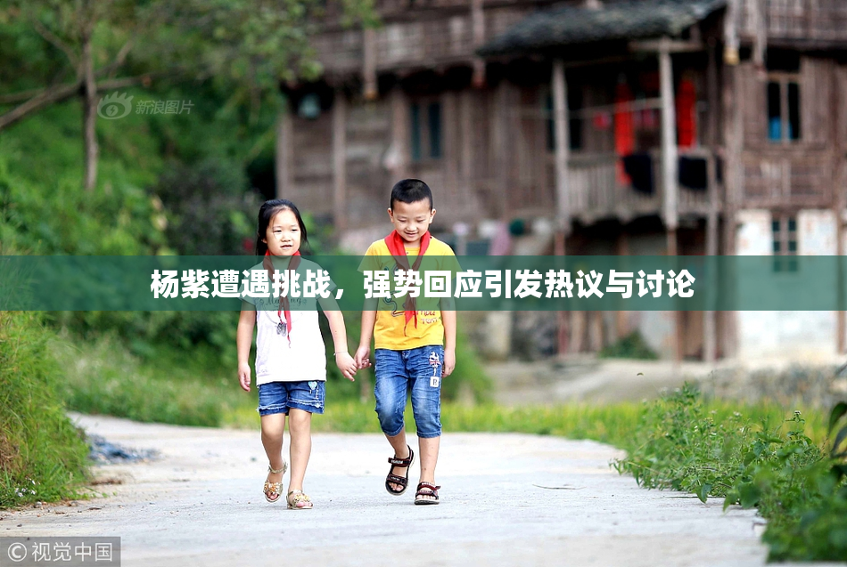 杨紫遭遇挑战，强势回应引发热议与讨论