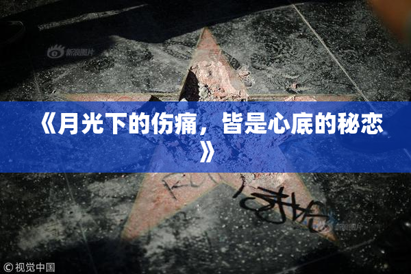 《月光下的伤痛，皆是心底的秘恋》