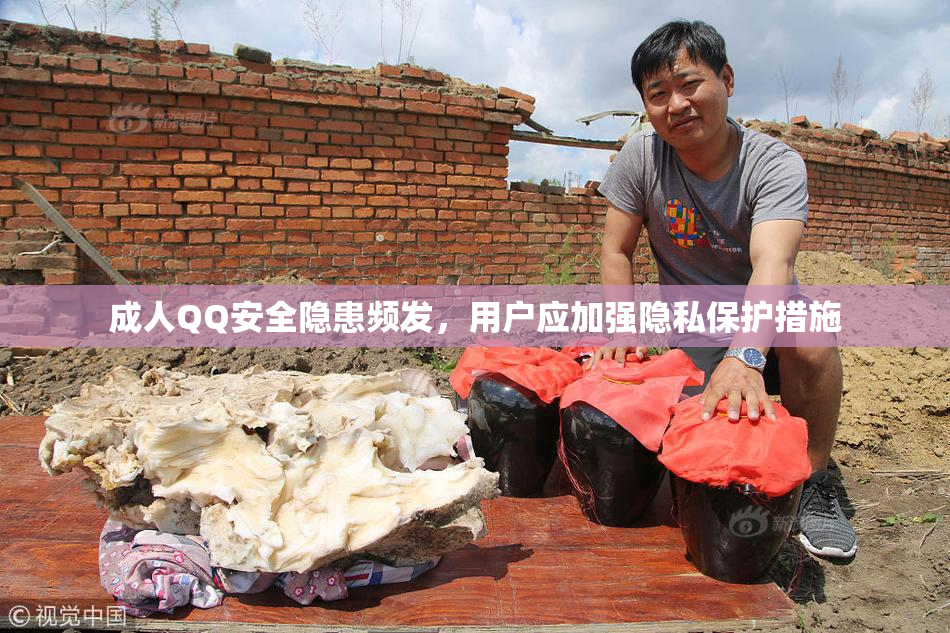 成人QQ安全隐患频发，用户应加强隐私保护措施