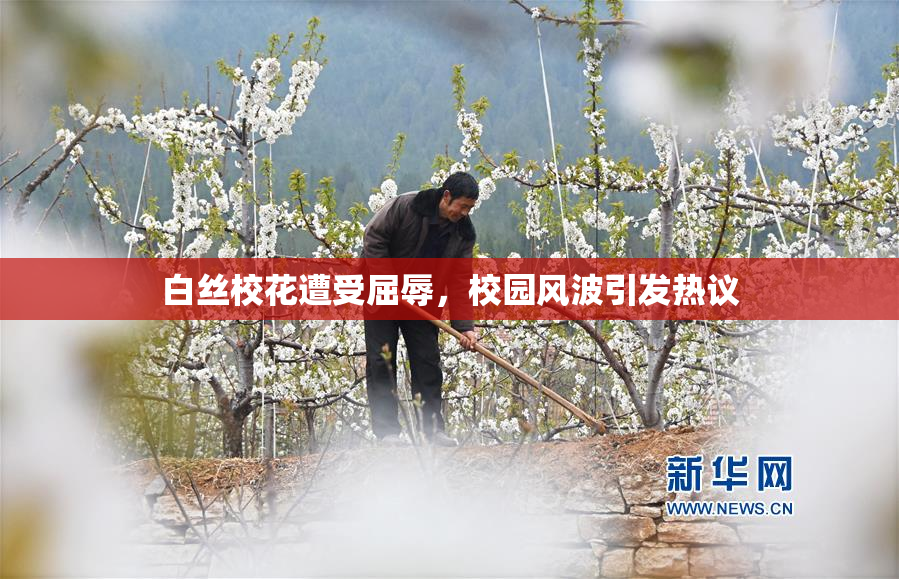 白丝校花遭受屈辱，校园风波引发热议