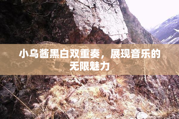 小乌酱黑白双重奏，展现音乐的无限魅力