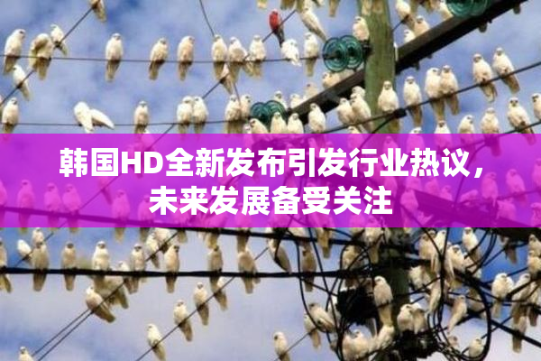 韩国HD全新发布引发行业热议，未来发展备受关注