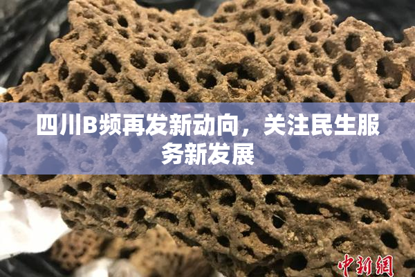 四川B频再发新动向，关注民生服务新发展