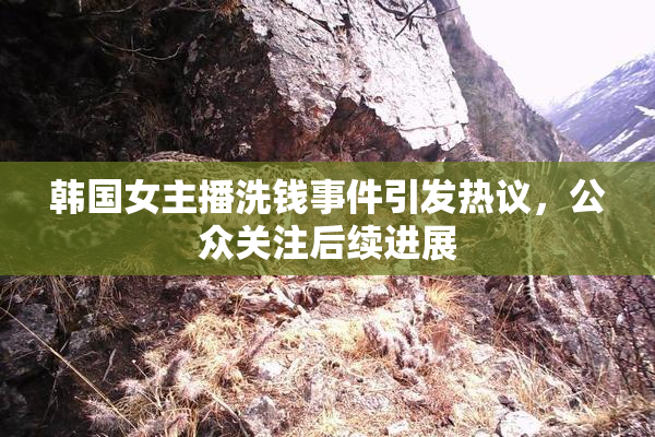韩国女主播洗钱事件引发热议，公众关注后续进展