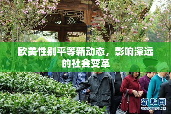 欧美性别平等新动态，影响深远的社会变革
