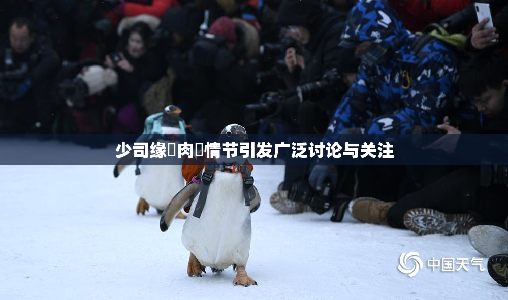 少司缘婬肉泬情节引发广泛讨论与关注