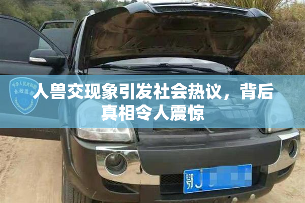 人兽交现象引发社会热议，背后真相令人震惊